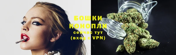 прущий лед Бородино