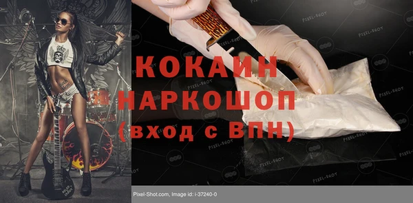 прущий лед Бородино
