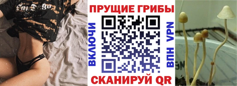 Псилоцибиновые грибы MAGIC MUSHROOMS купить цена kraken ССЫЛКА мориарти формула Рузаевка