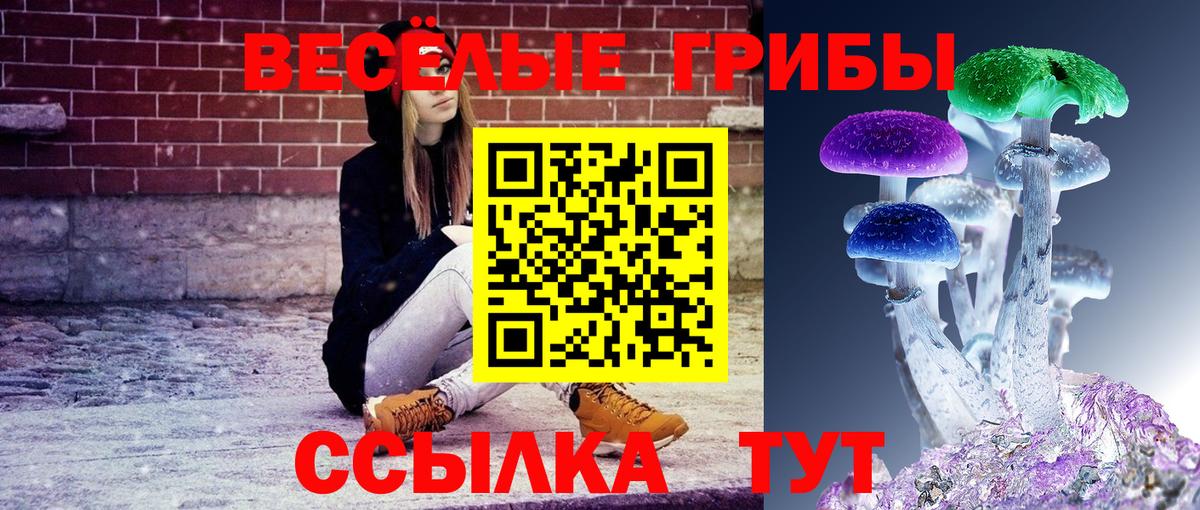КОКАИН  Гашиш  Рузаевка  ТГК  Гашиш  LSD-25  Вход с VPN  Марихуана  Меф МЯУ МЯУ кристаллы 