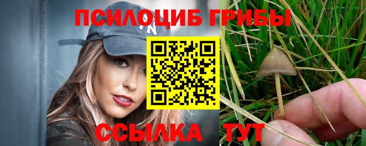 Псилоцибиновые грибы Psilocybe Рузаевка