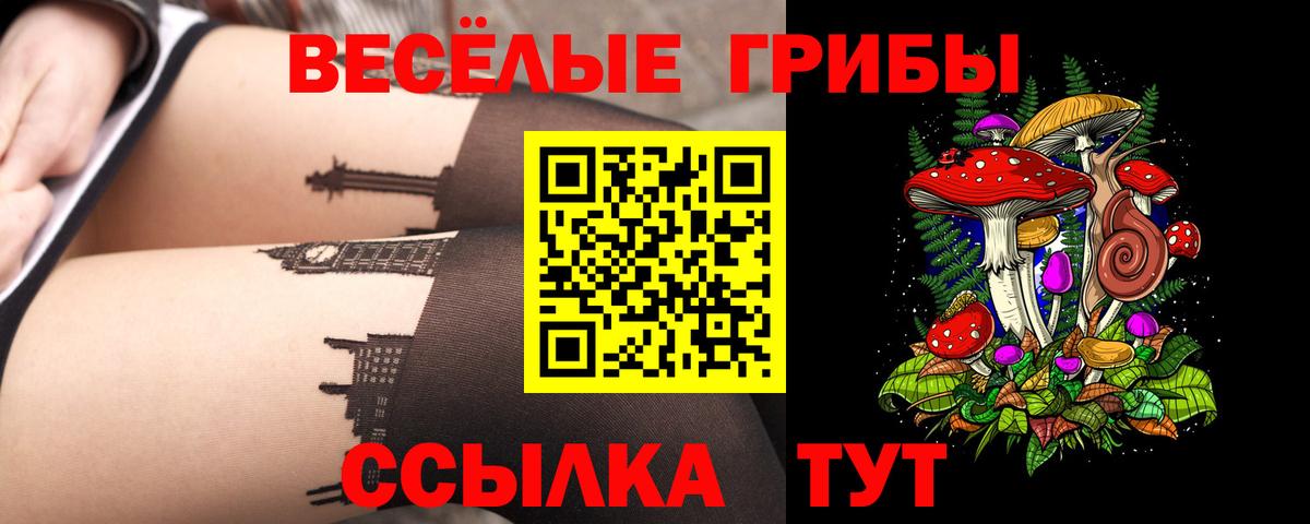 Галлюциногенные грибы мухоморы  Галлюциногенные грибы GOLDEN TEACHER  Рузаевка  Вход с VPN 